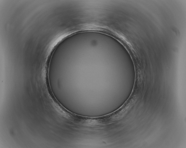 X0000115201463200911121832