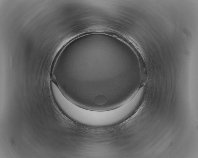 X0000115201465200911121832