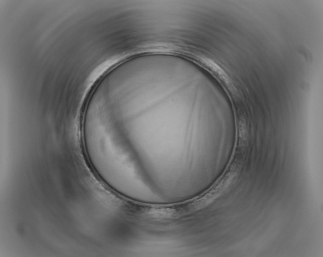 X0000115201466200911121832