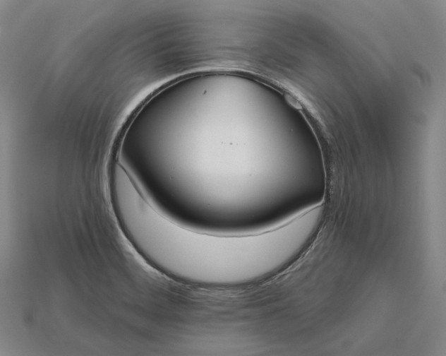 X0000115201468200911121832