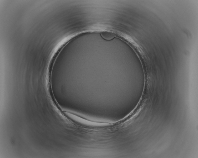 X0000115201469200911121832