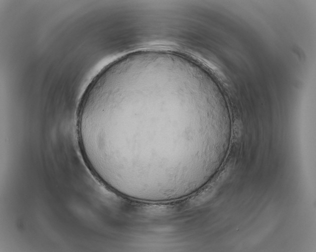 X0000115201470200911121832
