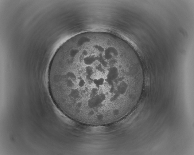 X0000115201471200911121832