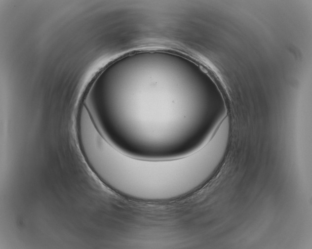 X0000115201472200911121832