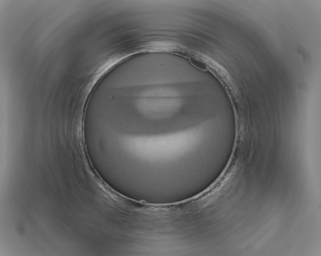X0000115201473200911121832