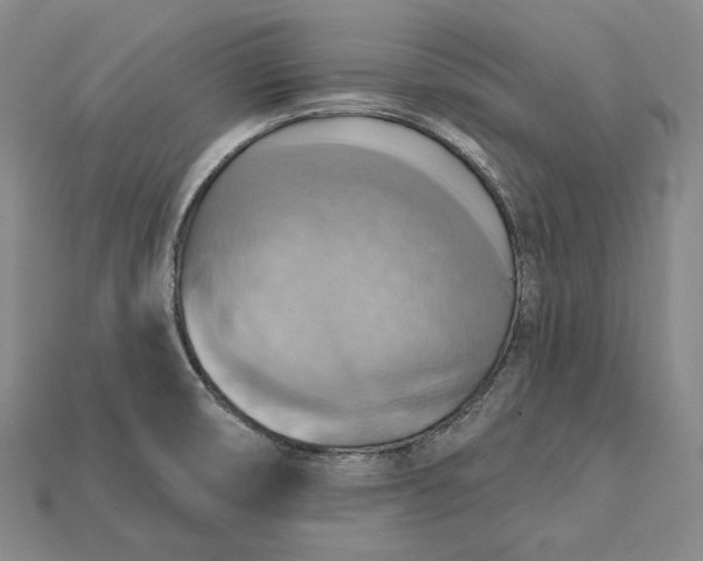 X0000115201474200911121832