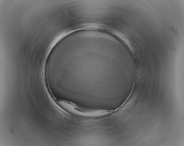 X0000115201475200911121832
