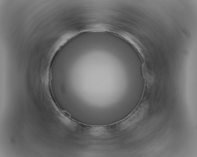 X0000115201477200911121832