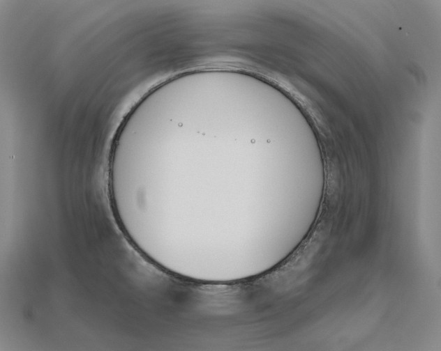 X0000115201478200911121832