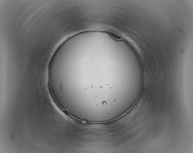 X0000115201479200911121832