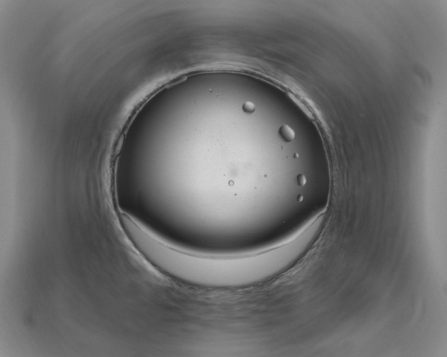 X0000115201480200911121832