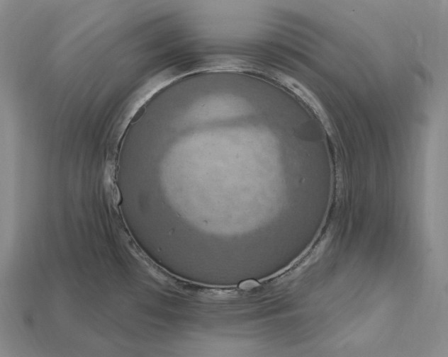 X0000115201481200911121832