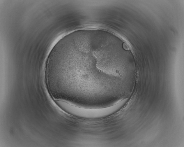 X0000115201483200911121832