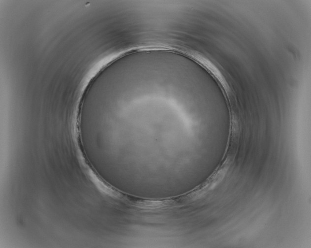 X0000115201485200911121832