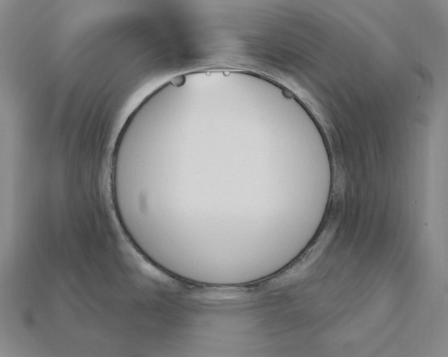X0000115201486200911121832