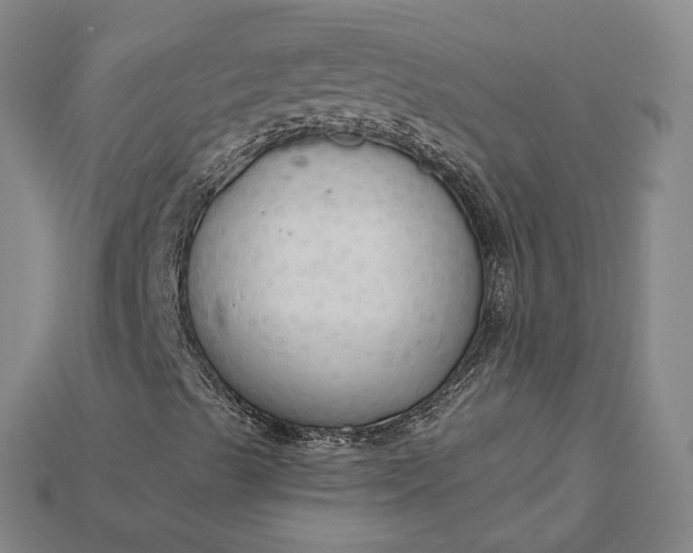 X0000115201489200911121831