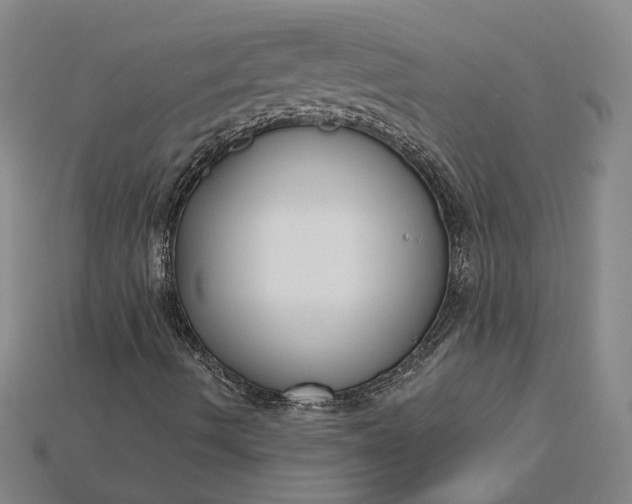 X0000115201490200911121831