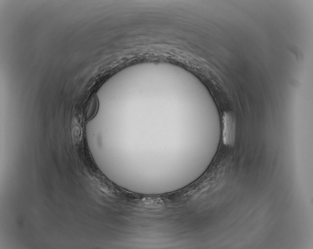 X0000115201491200911121831