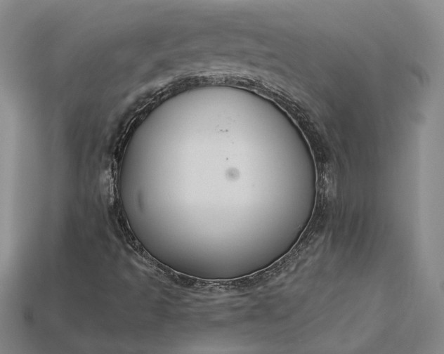 X0000115201493200911121831