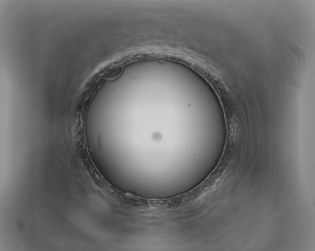 X0000115201494200911121831