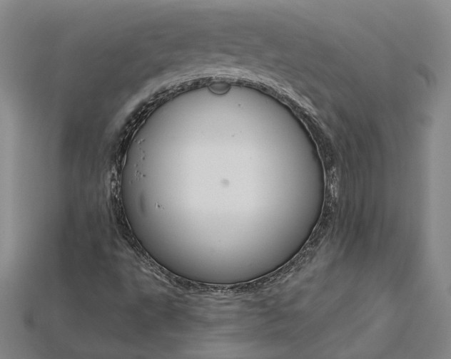 X0000115201495200911121831