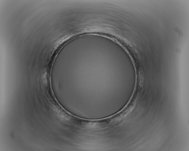 X0000115201497200911121831