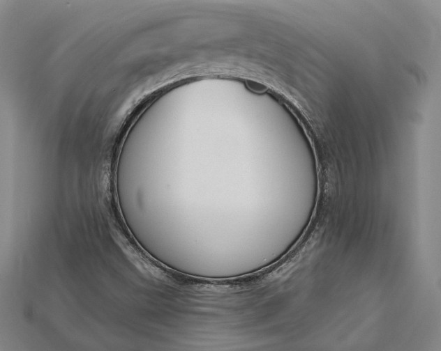 X0000115201499200911121831