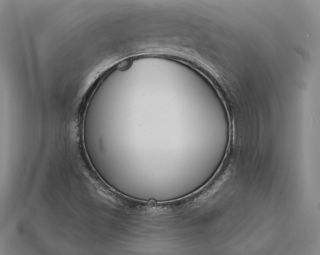 X0000115201501200911121831