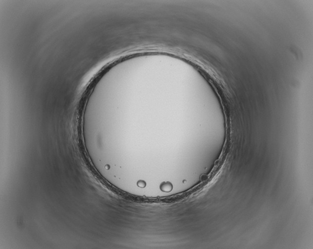 X0000115201502200911121831