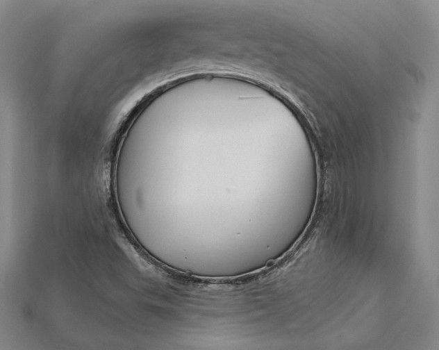 X0000115201503200911121831