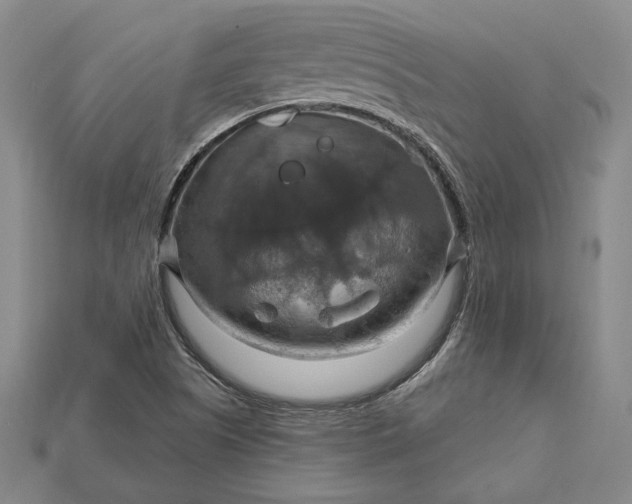 X0000115201505200911121831