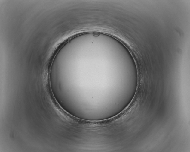 X0000115201507200911121831