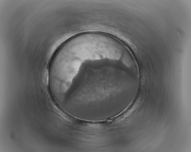 X0000115201509200911121831