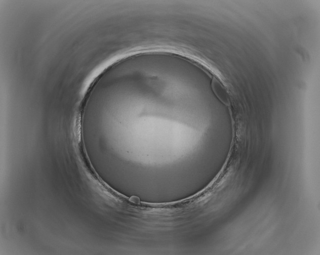 X0000115201510200911121831