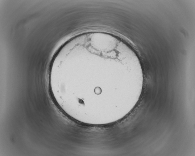X0000115201514200911121831