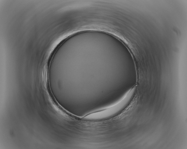 X0000115201515200911121831