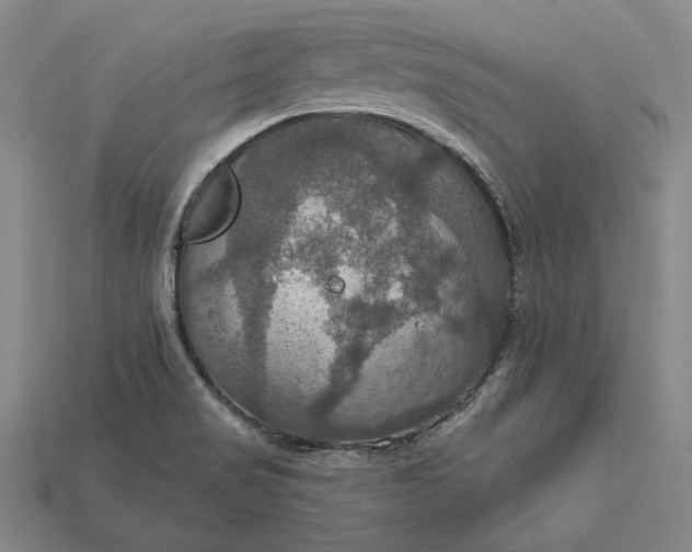 X0000115201517200911121831