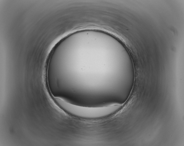 X0000115201518200911121831