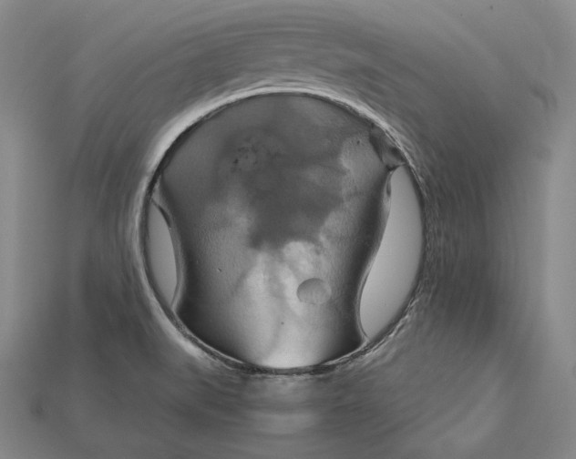 X0000115201519200911121831