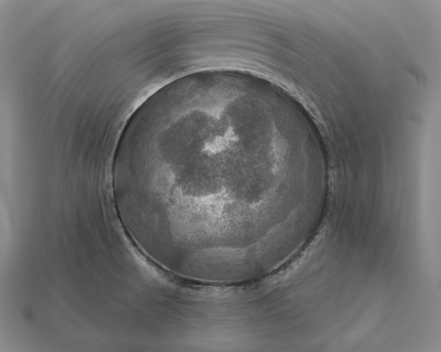 X0000115201521200911121831