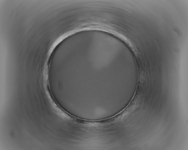 X0000115201522200911121831