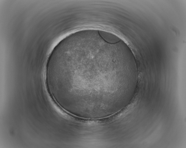 X0000115201523200911121831