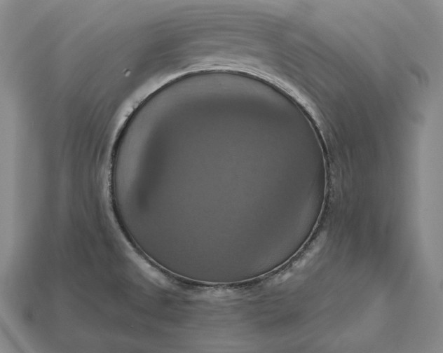 X0000115201525200911121831