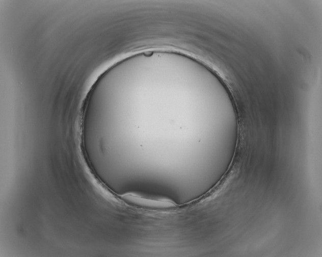 X0000115201526200911121831