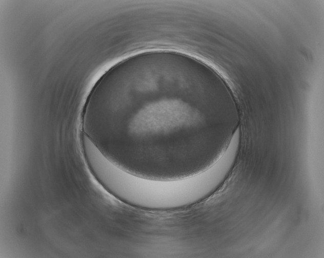 X0000115201527200911121831