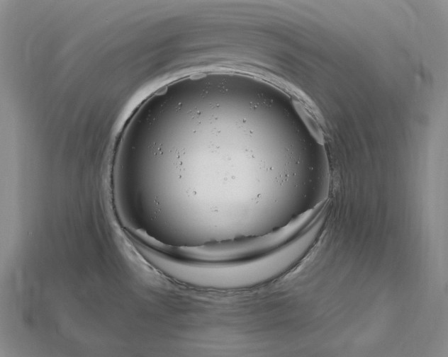X0000115201530200911121831