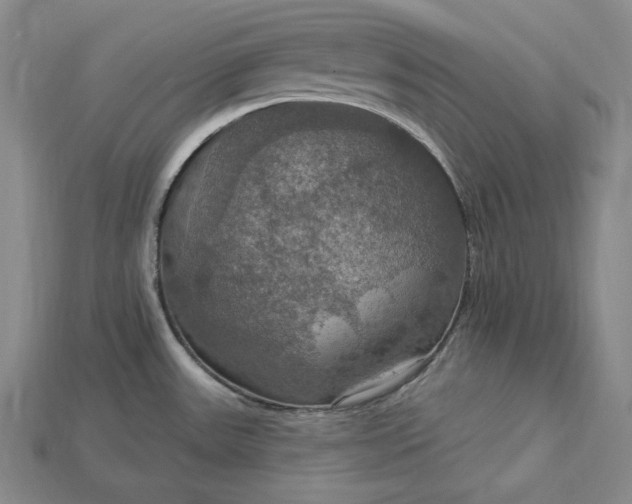 X0000115201531200911121832