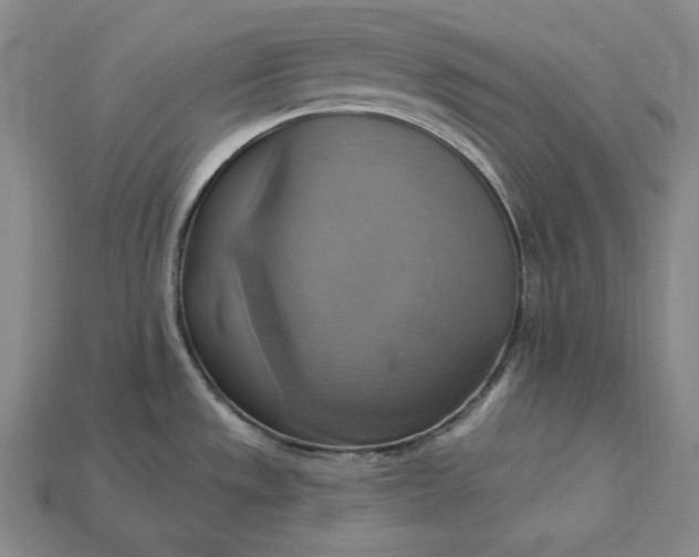 X0000115201533200911121832
