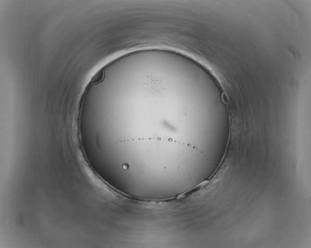 X0000115201534200911121832