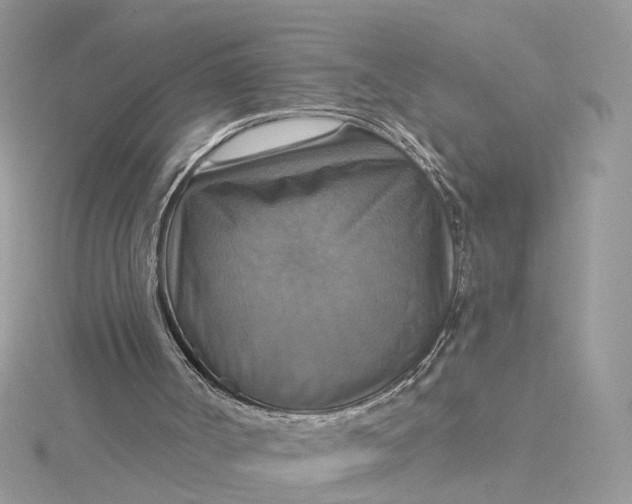 X0000115200002200911181517